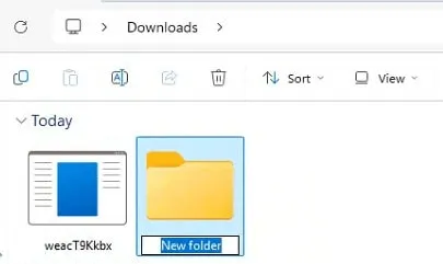 Creating a new folder in Downloads for the loader