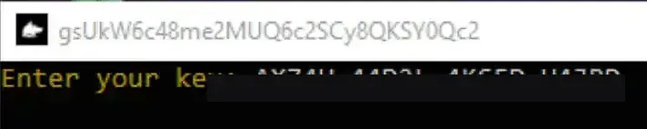 The loader asking you to enter your key