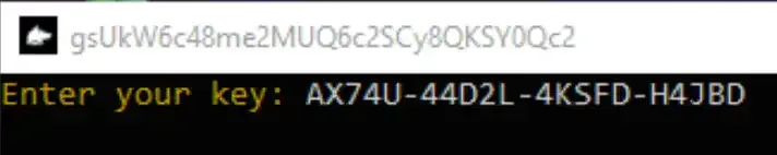 The Hyperion loader login asking you to paste your key