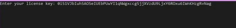 A console loader prompting Enter your license key