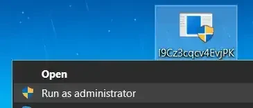 Right-clicking the loader and choosing Run as administrator